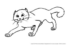 Katze-1.pdf